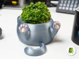 Tıknaz Kedi Saksısı-2
