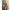 Fin Vases Topf (mit Wandhalterung)