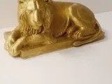 lion-2