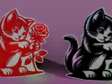 little cat-3
