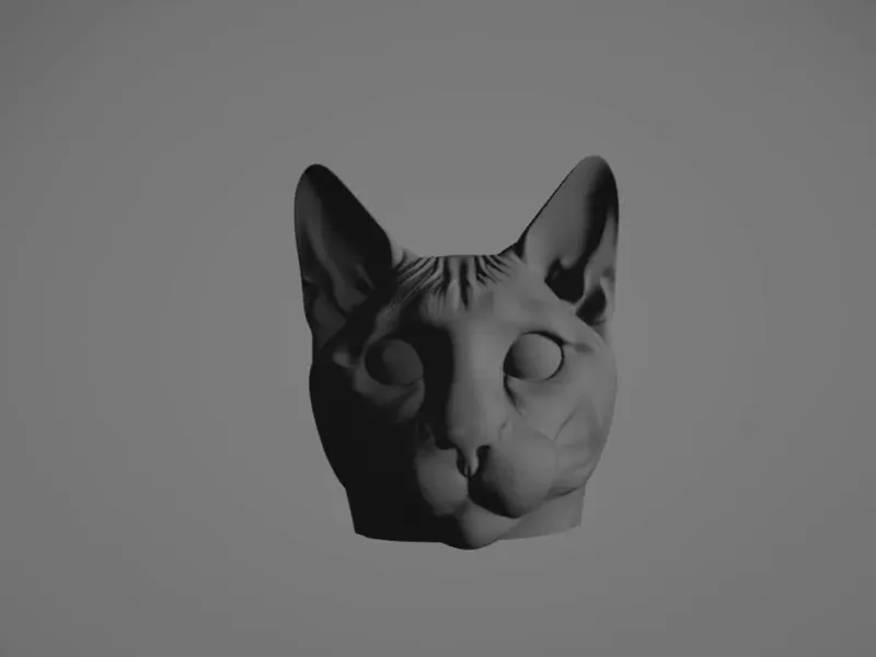 Кот бенгальский