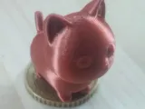 Cat Small-0