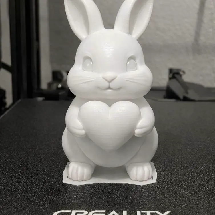 Valentine bunny love