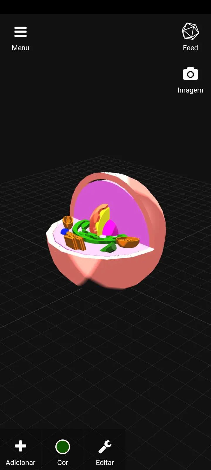 Cell / Célula