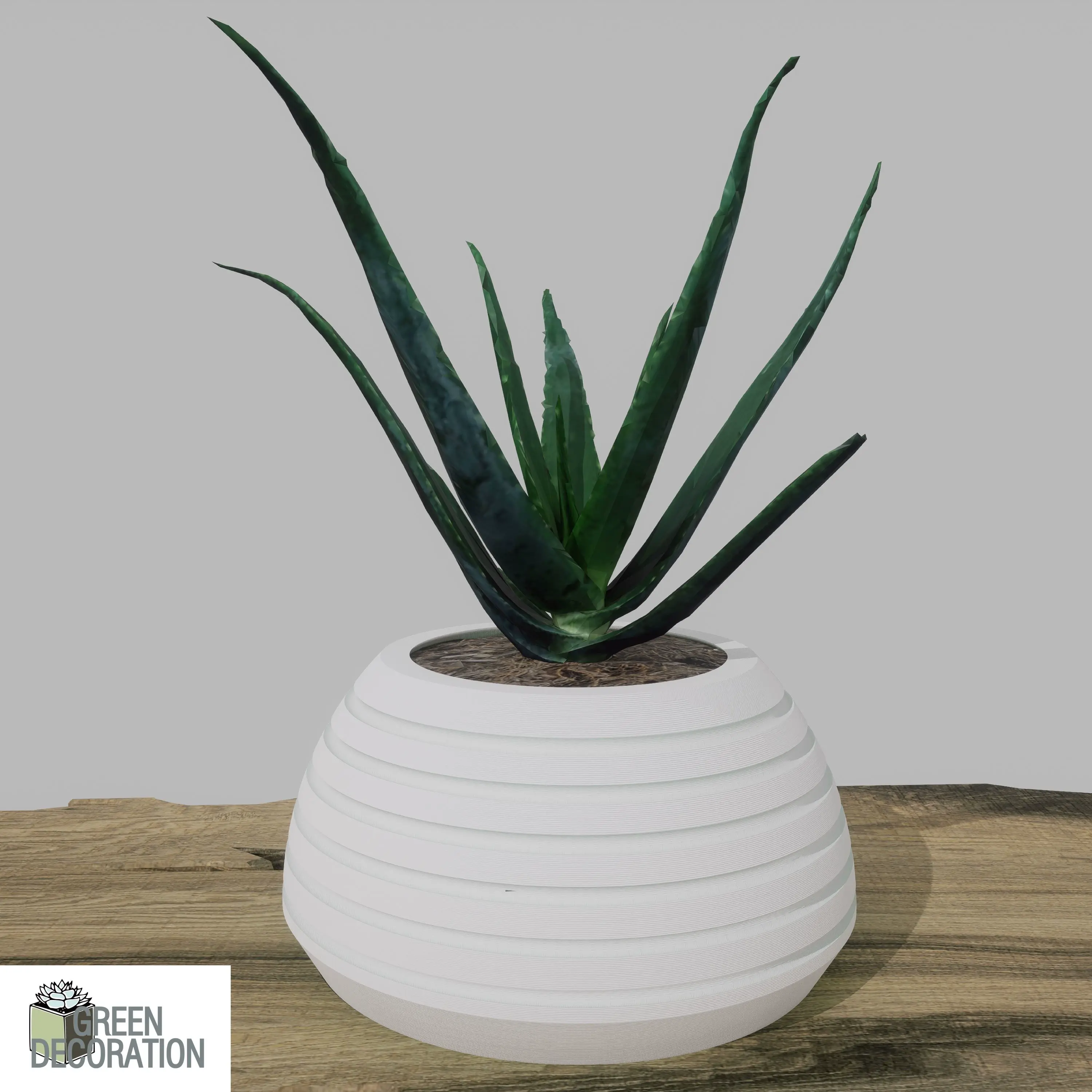 FLOWER POT FOR HOME DECORATION. FP10