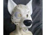 Coyote head base-0