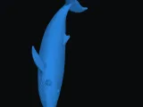 Blue whale-6