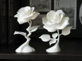 Modern Rose-1
