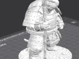 🐢 Shellwarden Monk – Turtle Warrior Guardian-4