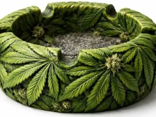 ashtray model