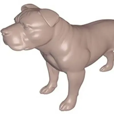 British Staffordshire Bull Terrier Dog