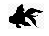 2D to 3D Water Creatures Series 1( 2D轉3D剪影水中生物系列 1)-3