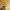 エジプト風シャボン玉吹き