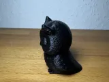 Dolce gufo-2