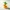 Pineapple duck