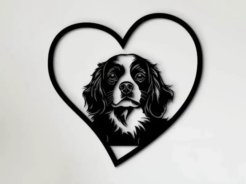 Cavalier King Charles