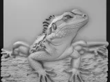 lizard-0