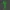 zeytin dalı ayraç