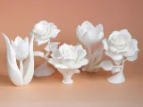 Rose-8