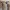 Têtes de crochets pour serpents