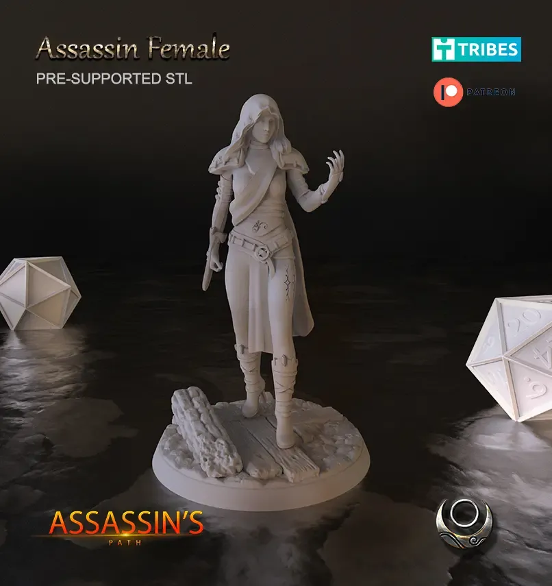Assassin Female
