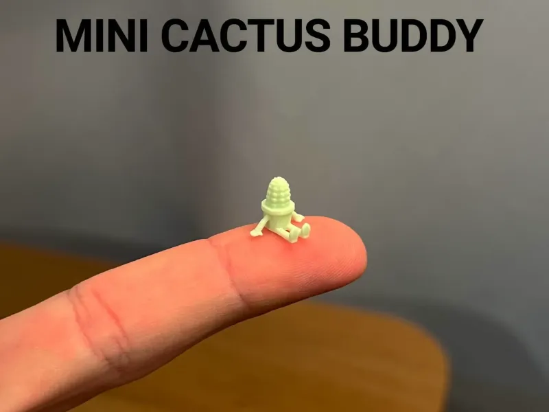 Mini Amigo Cacto