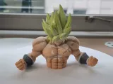 Dragonball-0