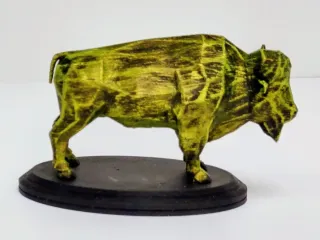 American Bison