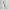 Bookmark Portait Roronoa zorro One piece