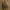 Japanese Samurai