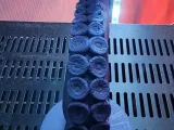 octopus or squid tentacle -6