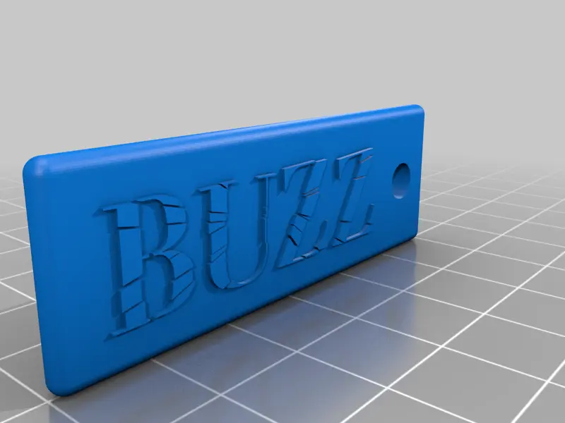 BUZZ logo keychains