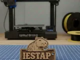 IESTAP Capybara Keychain-0