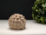 Low Poly Sleeping Hedgehog-6
