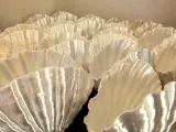 Vase Conch Shell Natural-2