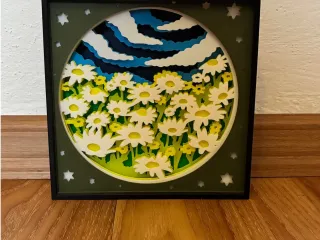 Spring shadow box