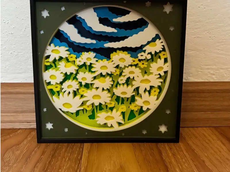 Spring shadow box