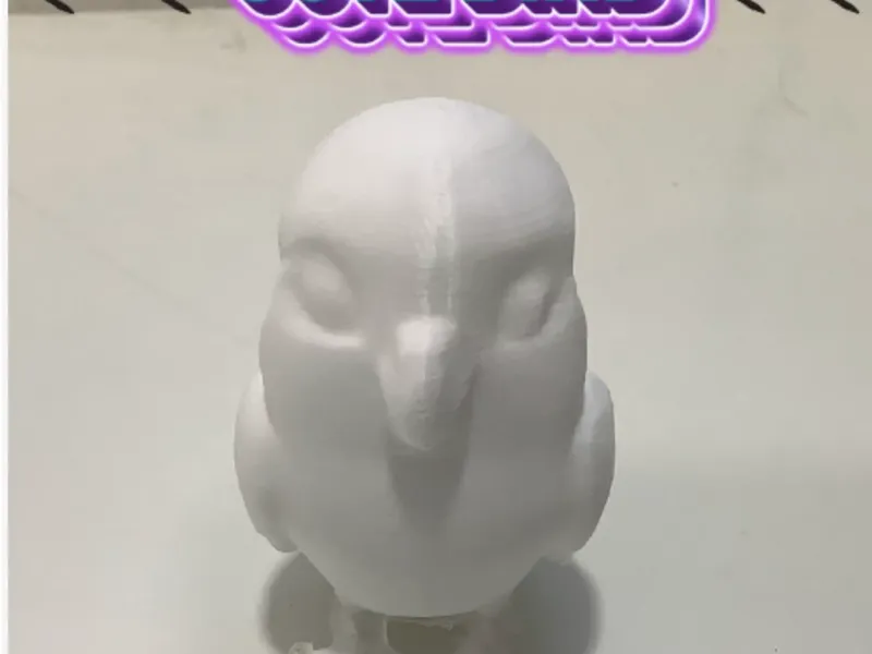 Cute bird