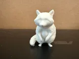 Racoon-0