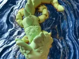 Sunflower Axolotl-2