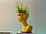 BOT PLANTER-1