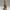 Golden Dune Sovereign – Desert Jewel Collectible Figurine