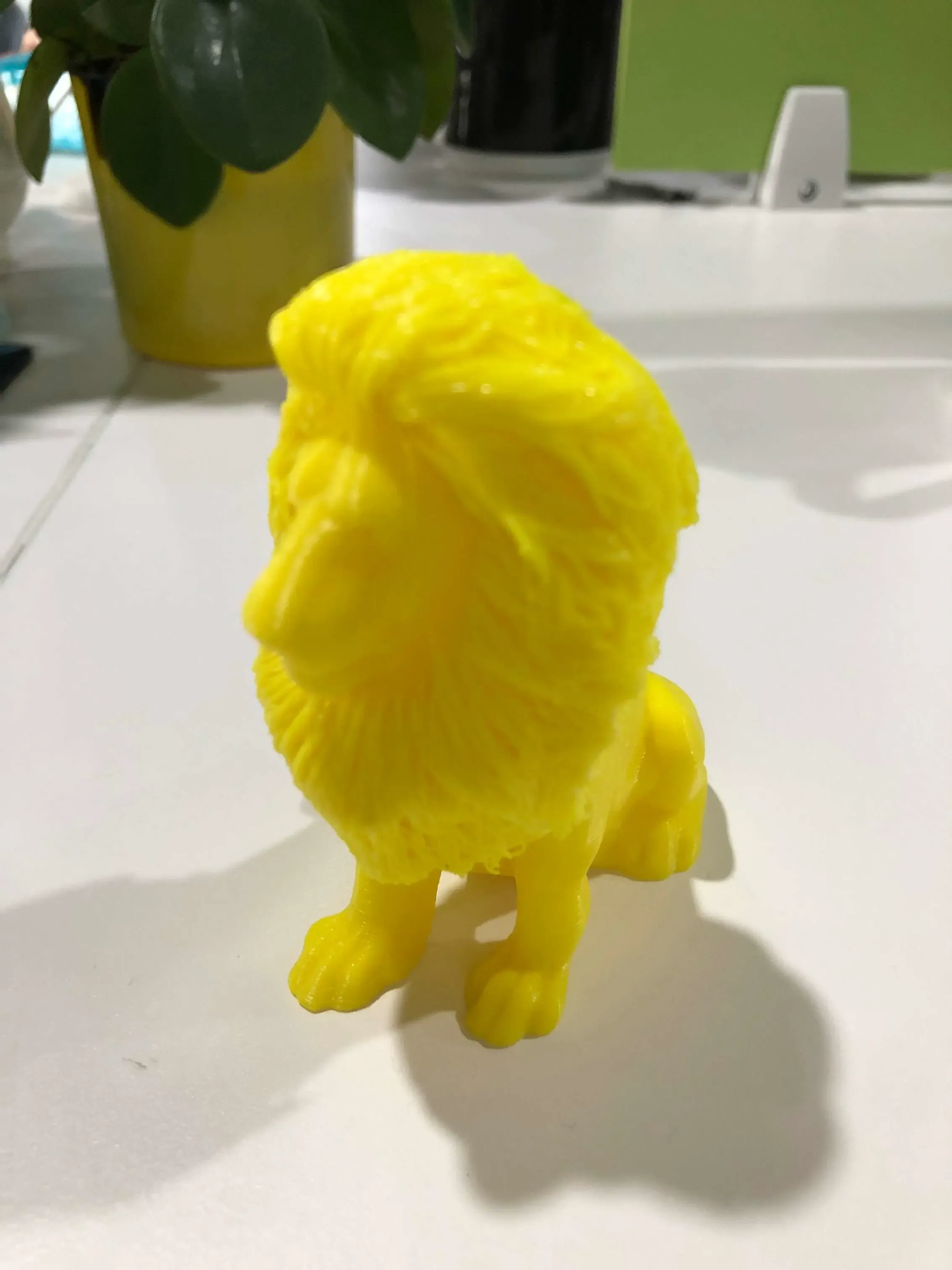 Lion with hair