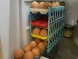 Egg Holder Rack-2