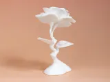Modern Rose-5