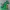 Pixel Art - De Smurfen - Draakbaas 02 - 4 kleuren