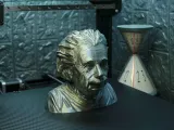Albert Einstein Support Free-5