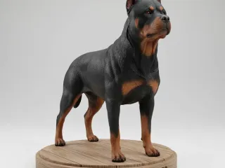 Rottweiler