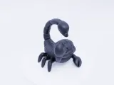 Cute Scorpion-1