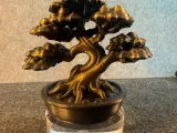 Bonsai Creality-1